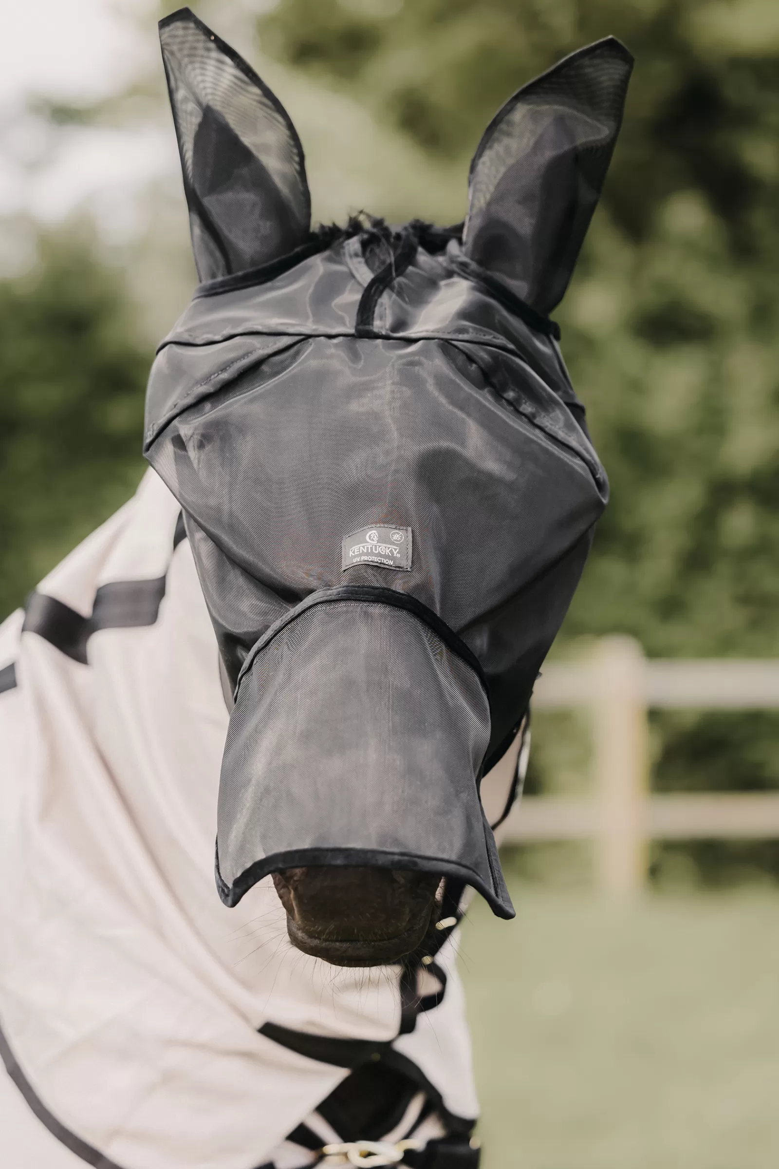 kentucky Horsewear Classic Maska Przeciwko Owadom Z Czescia Nauszna I Ochrona Nosa Black Discount