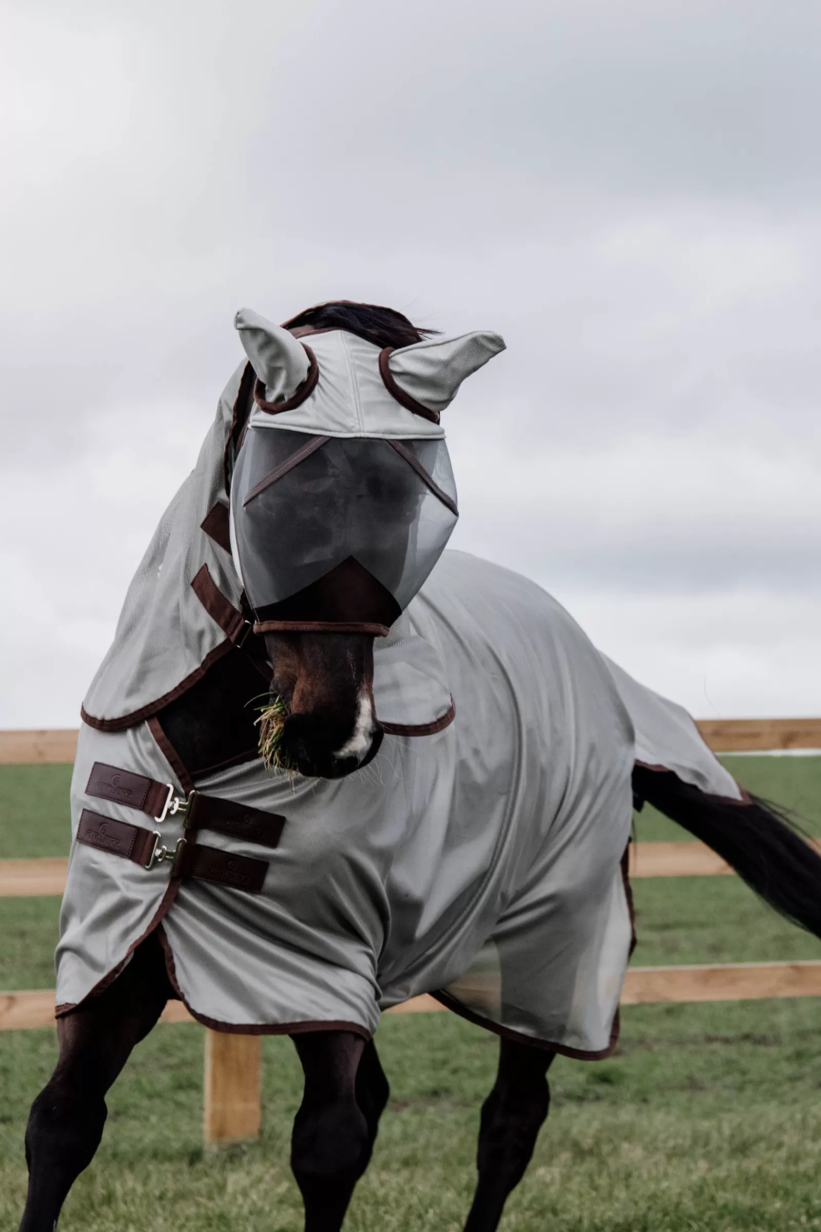 kentucky Horsewear Classic Mesh Derka Z Siateczki Przeciwko Owadom Silver Outlet