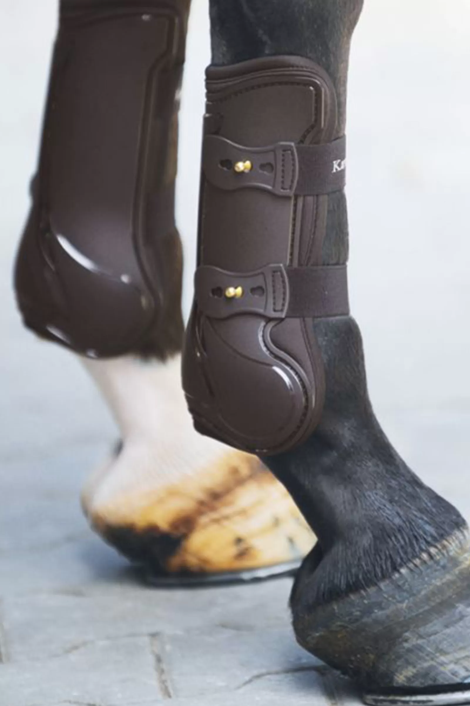 kavalkade Konkurencja W Tendon Boots Brown Cheap