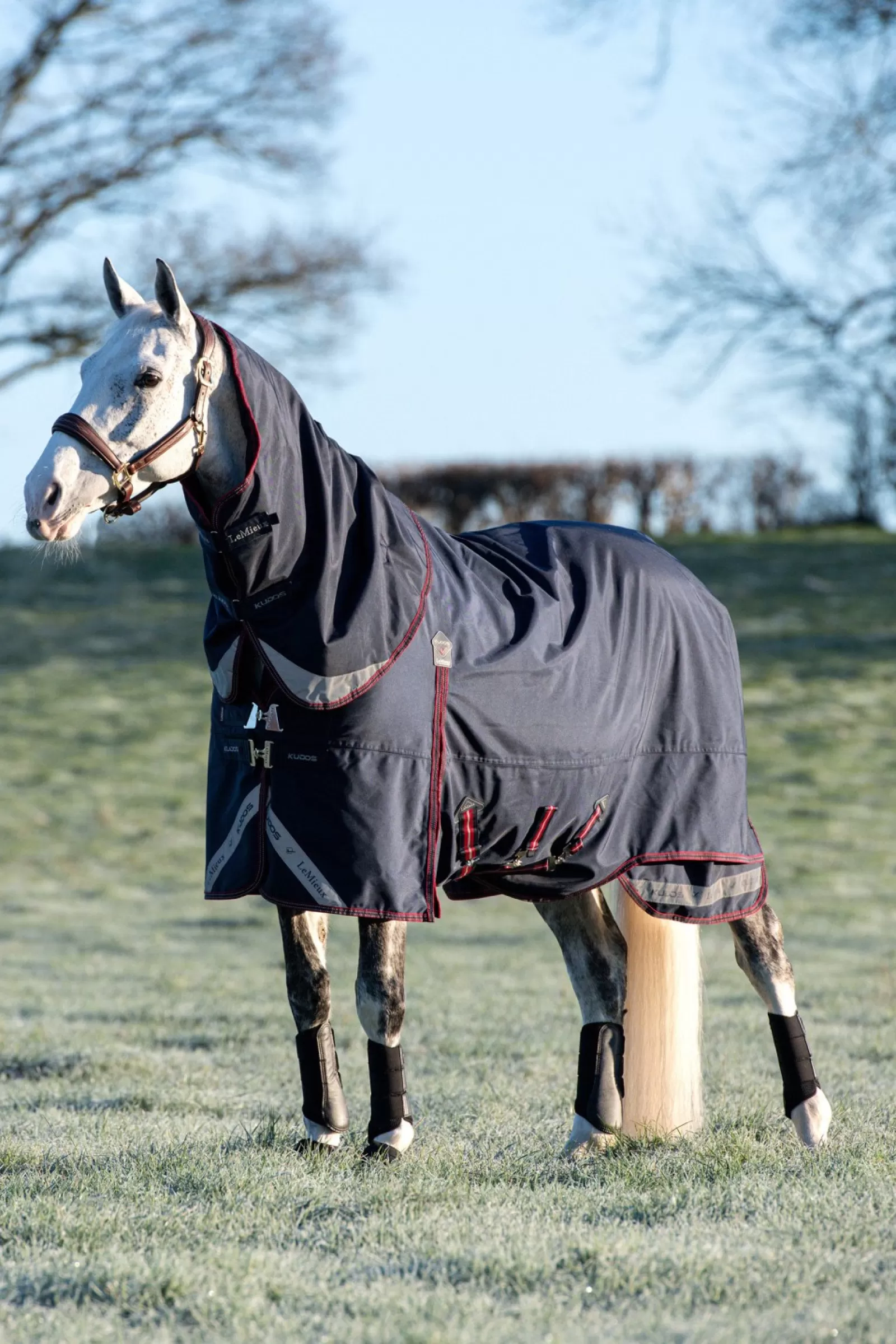 lemieux Kudos Lightweight Turnout Rug, 100G