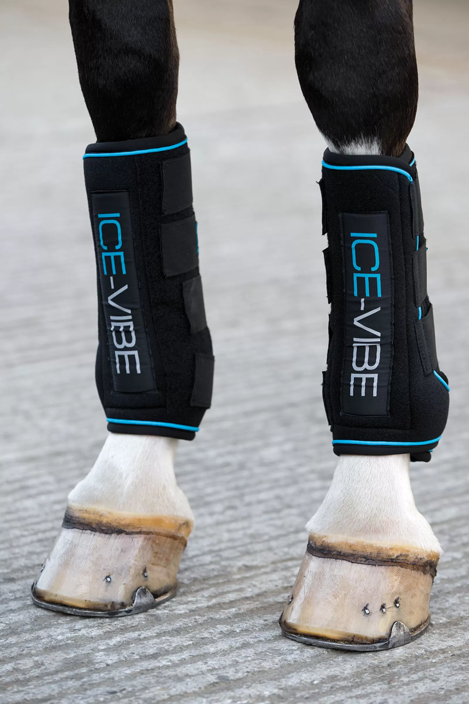 horseware Ochraniacze Ice-Vibe Black/Aqua Blue Fashion