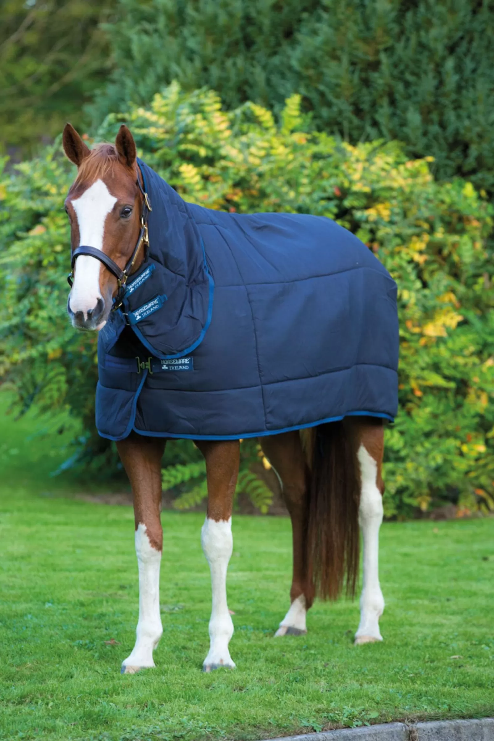 horseware Podpinka Pod Derke Plus Z Kapturem, 300 G