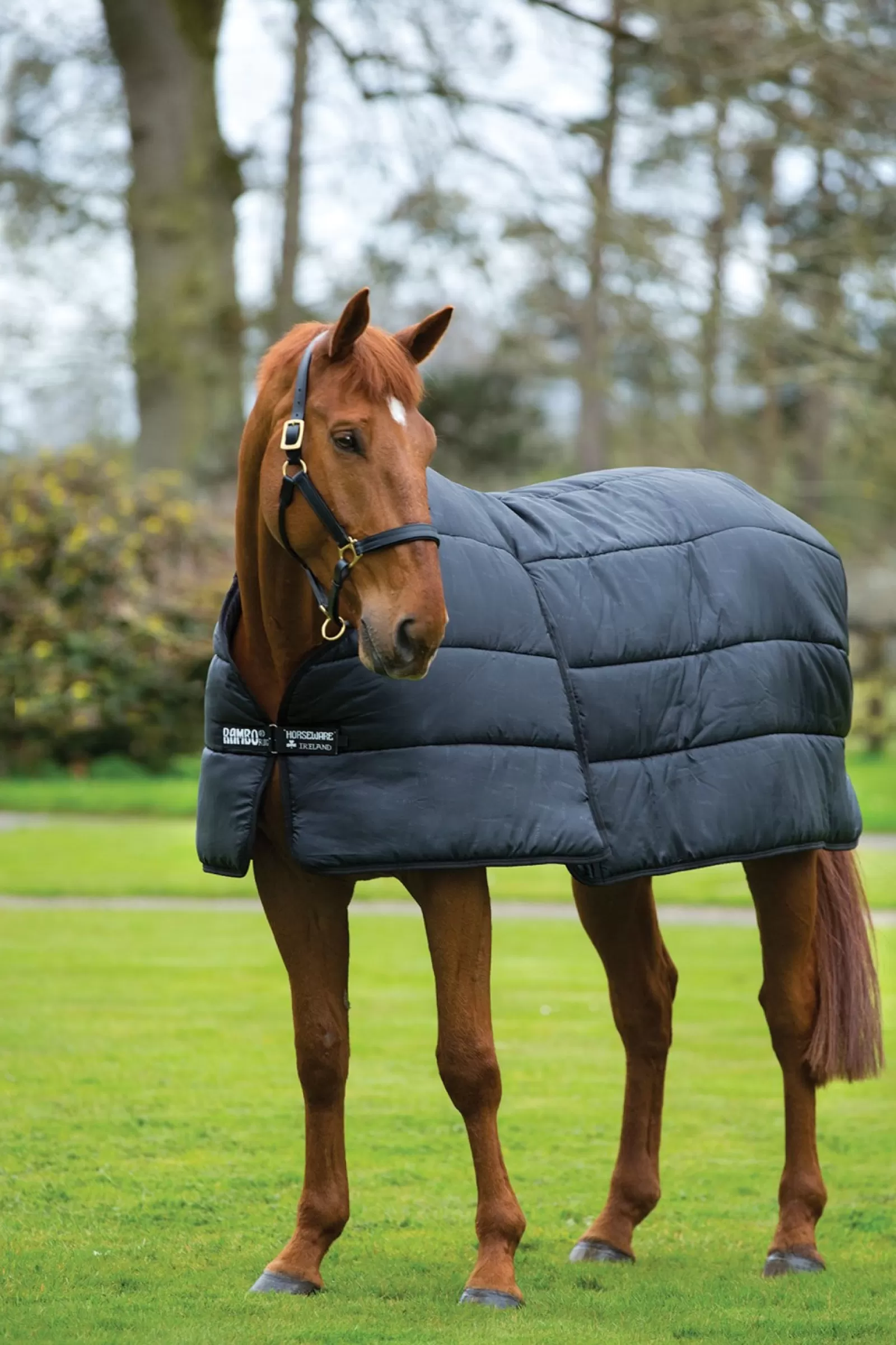 horseware Podpinka Pod Derke Rambo Optimo, 200 G