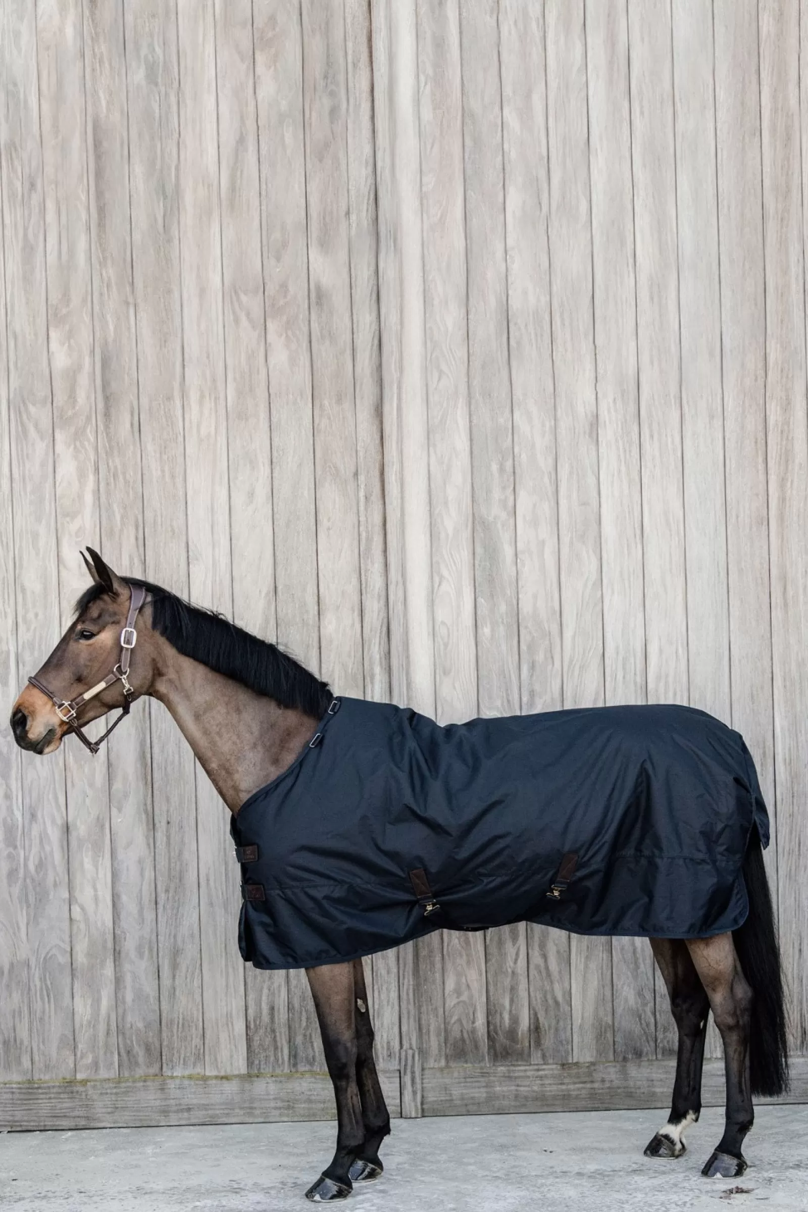 kentucky Przeciwdeszczowa Derka Padokowa Horsewear All Weather Classic, 150G