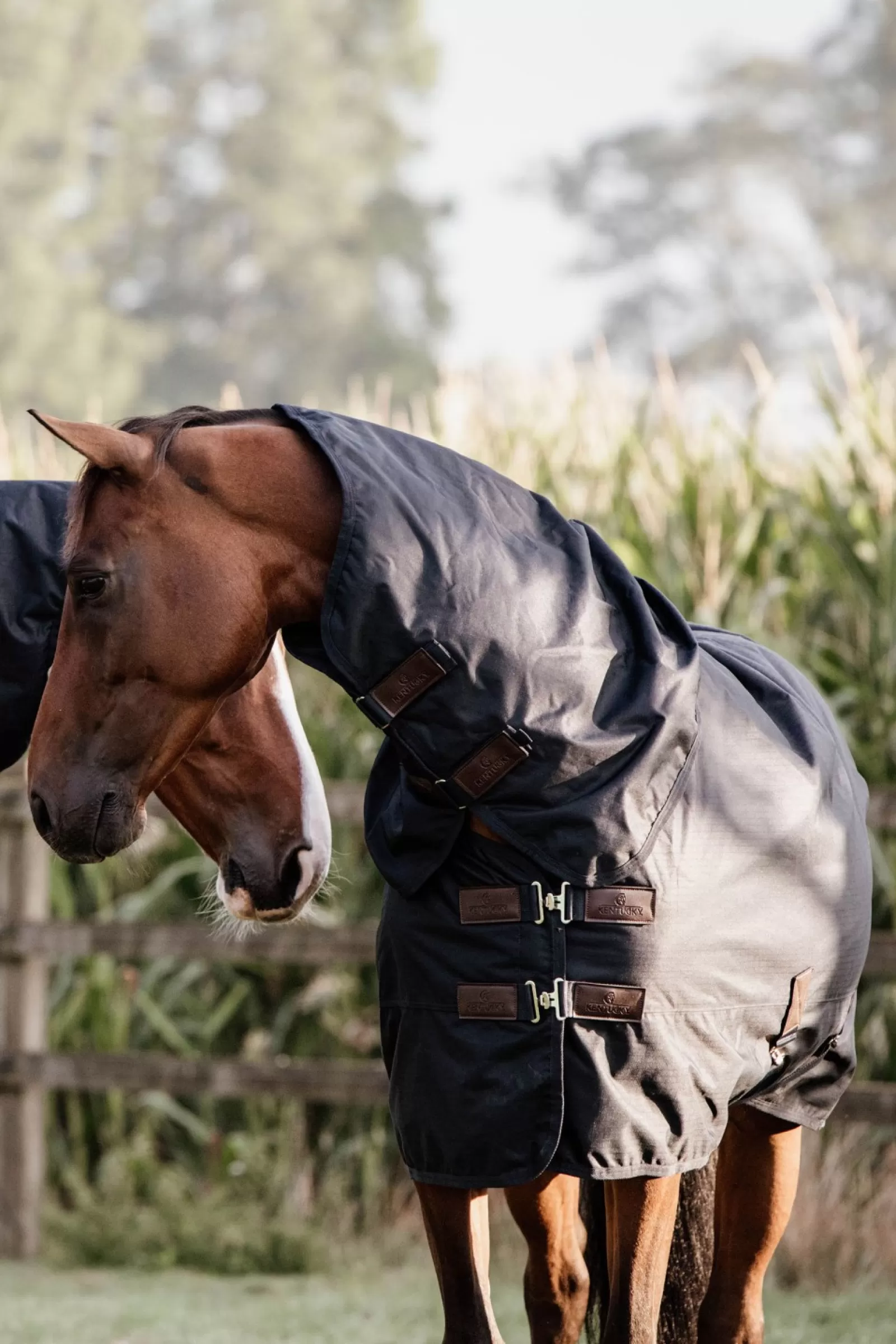 kentucky Przeciwdeszczowa Derka Padokowa Horsewear All Weather Classic, 150G
