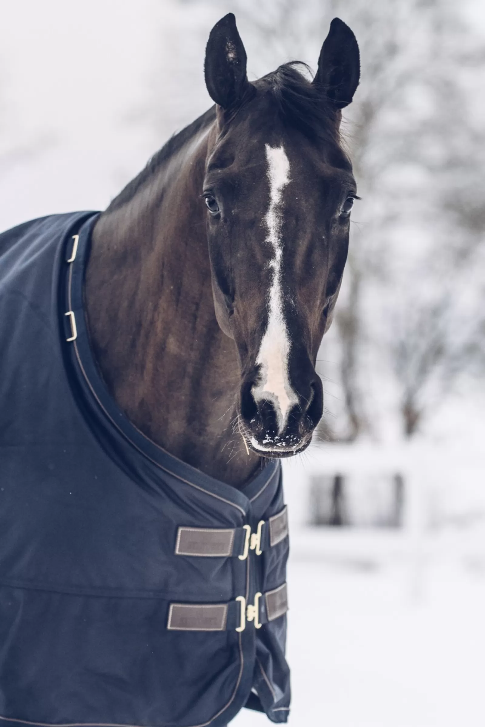 kentucky Przeciwdeszczowa Derka Padokowa Horsewear All Weather Classic, 300G