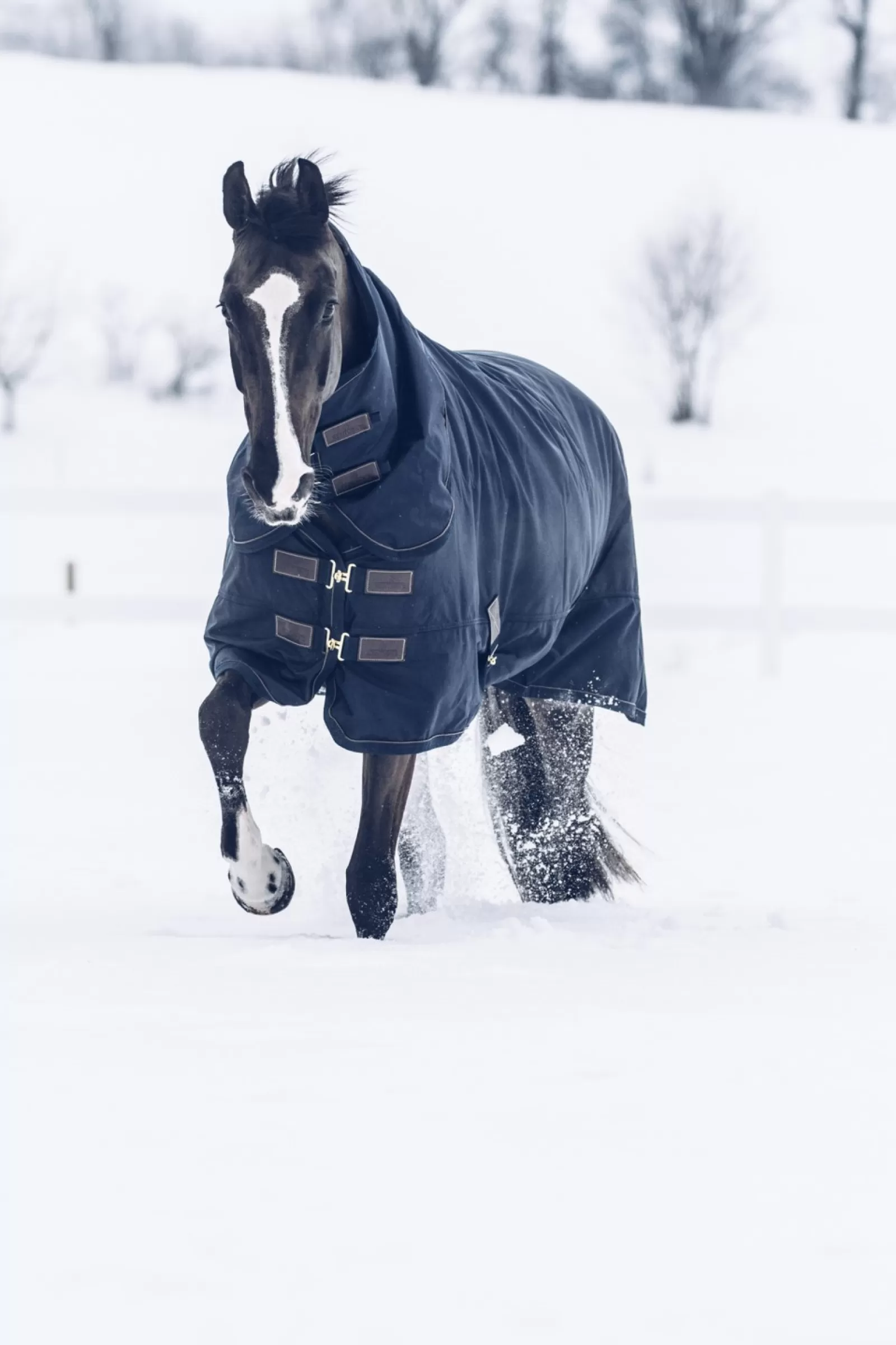 kentucky Przeciwdeszczowa Derka Padokowa Horsewear All Weather Classic, 300G