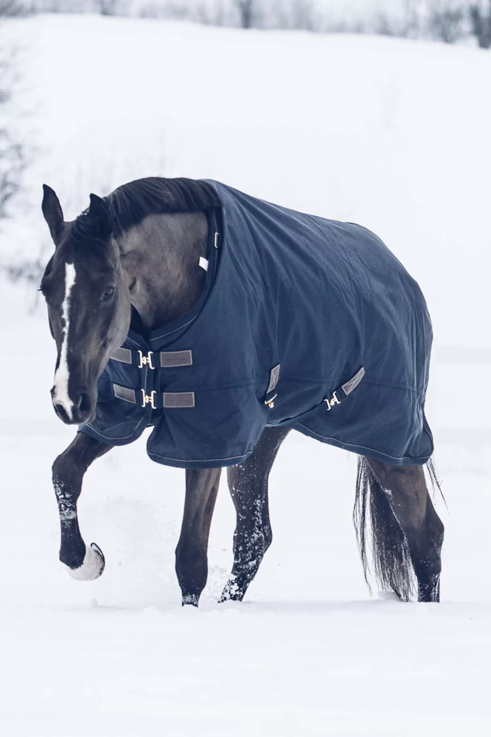 kentucky Przeciwdeszczowa Derka Padokowa Horsewear All Weather Classic, 300G