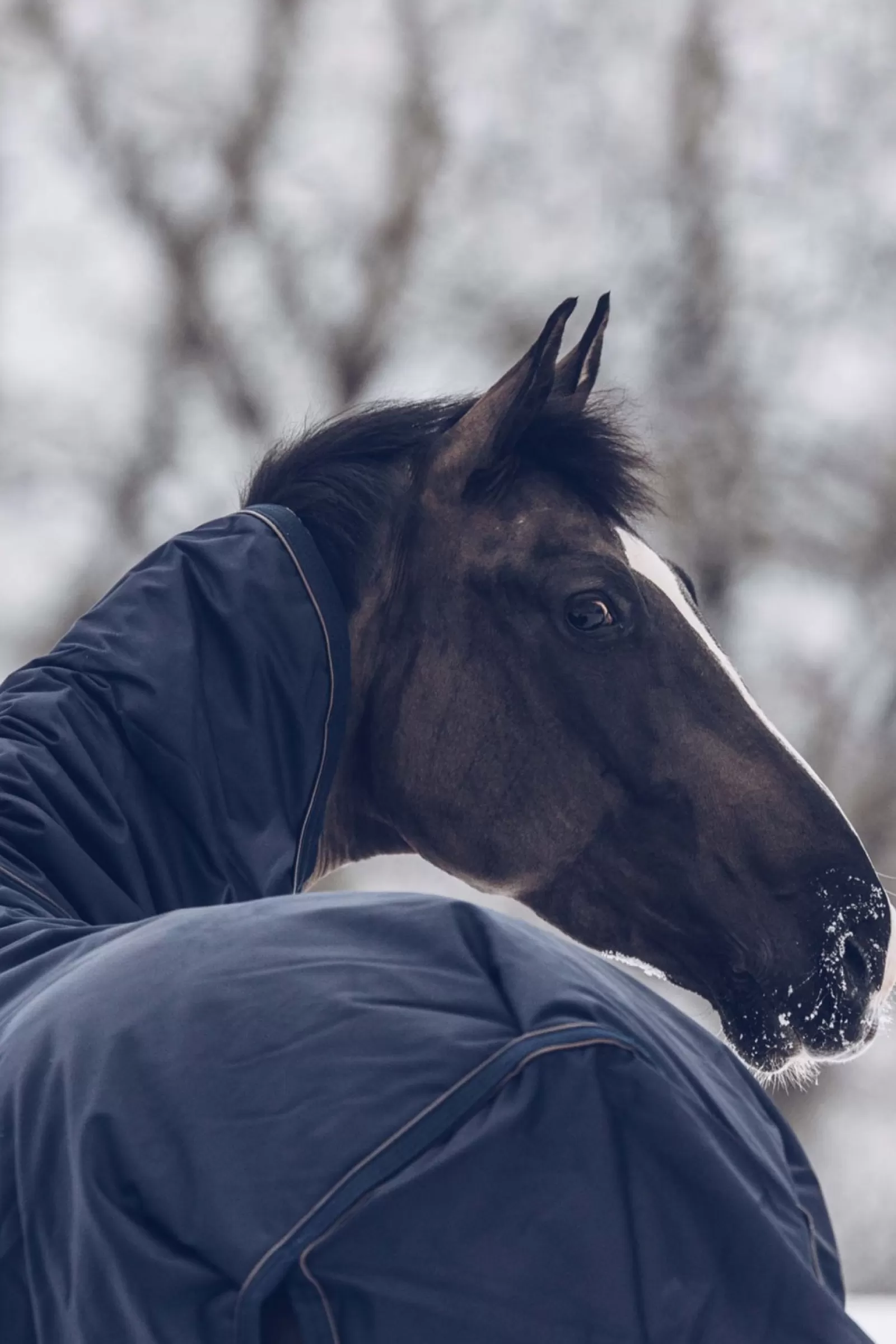kentucky Przeciwdeszczowa Derka Padokowa Horsewear All Weather Classic, 300G