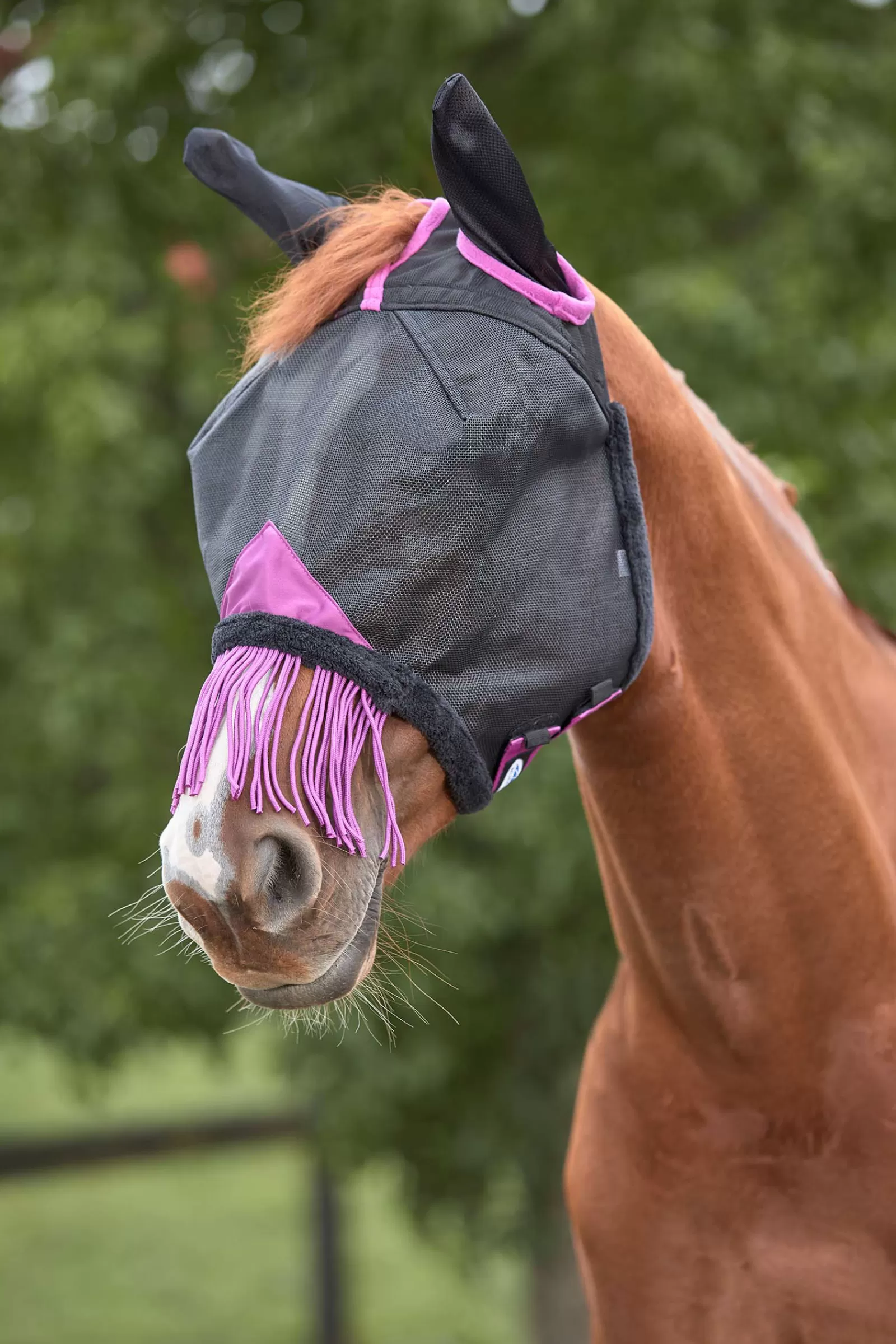 weatherbeeta Comfitec Deluxe Maska Z Wytrzymalej Siateczki Z Fredzelkami I Oslona Uszu Black/Purple Flash Sale