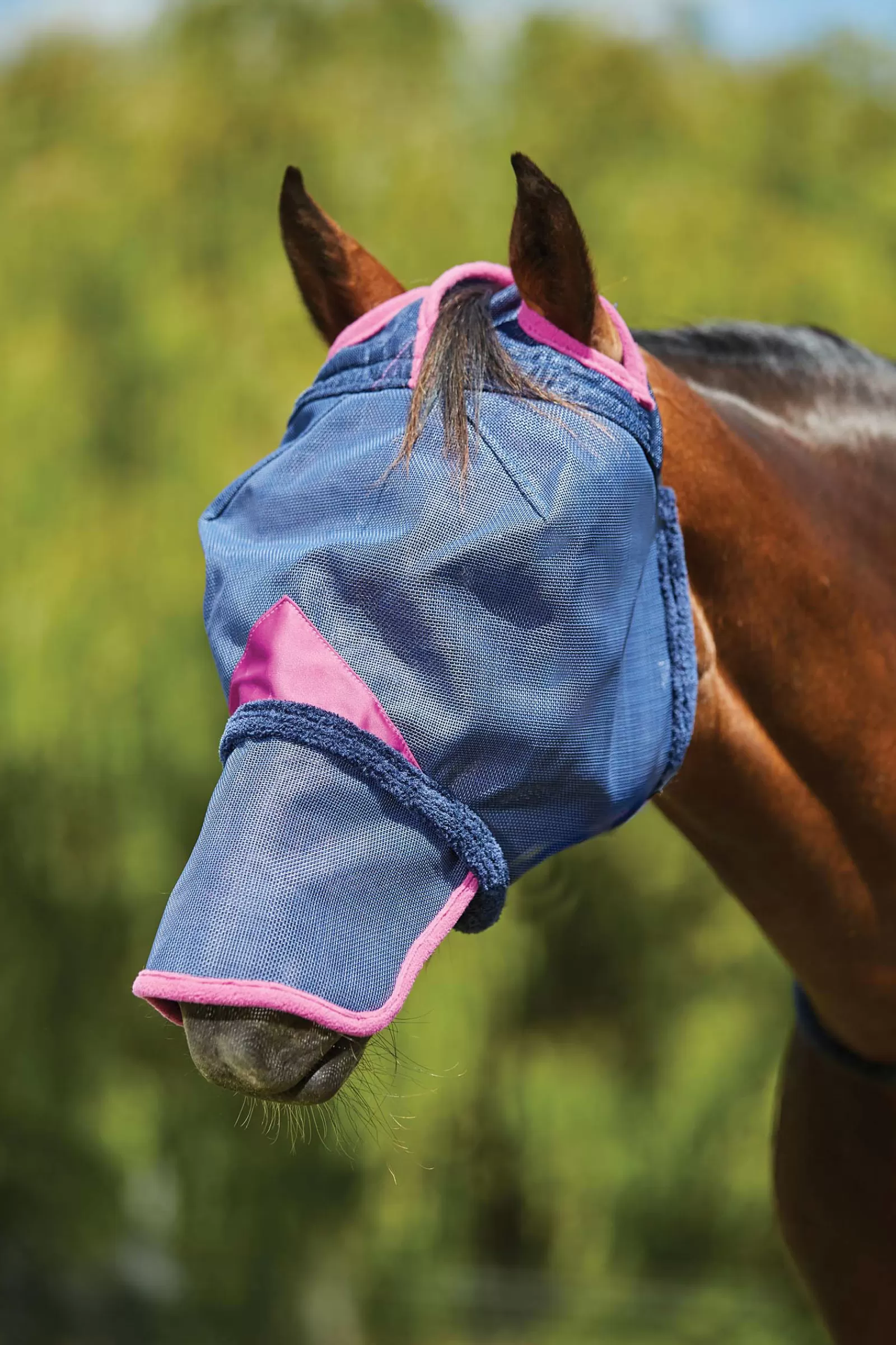 weatherbeeta Comfitec Deluxe Maska Z Wytrzymalej Siateczki Z Oslona Nosa Dark Blue/Purple New