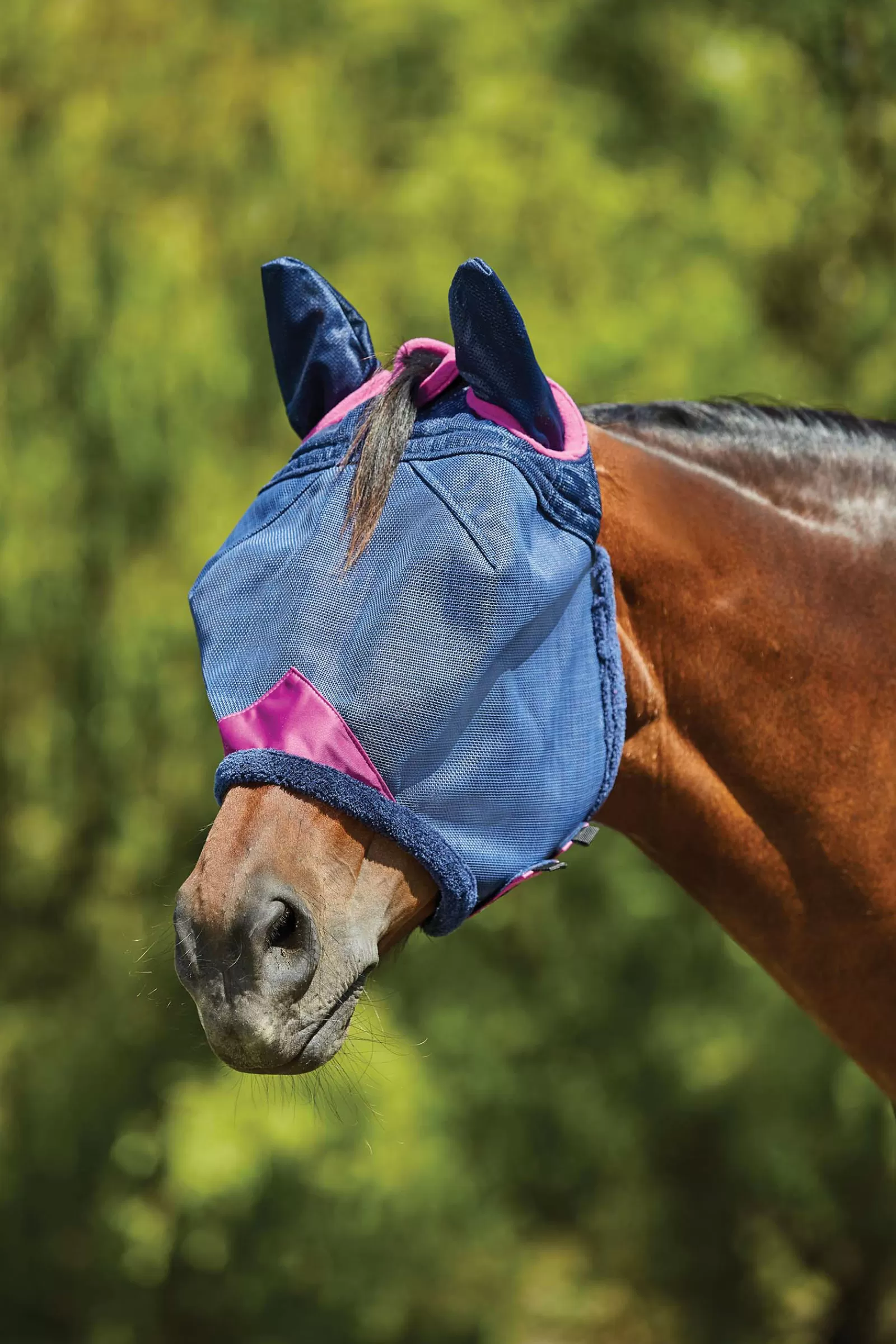 weatherbeeta Comfitec Deluxe Maska Z Wytrzymalej Siateczki Z Oslona Uszu Dark Blue/Purple Sale