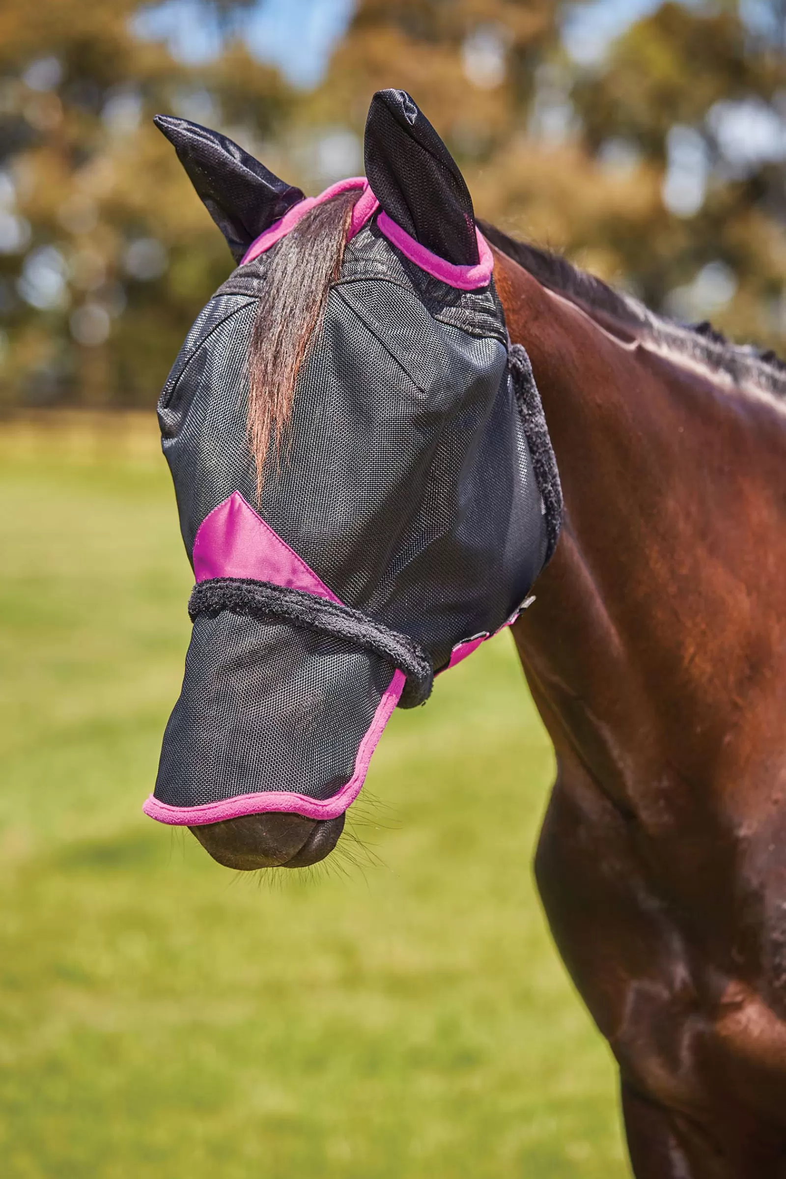 weatherbeeta Comfitec Deluxe Maska Z Wytrzymalej Siateczki Z Oslona Uszu I Nosa Black/Purple Cheap