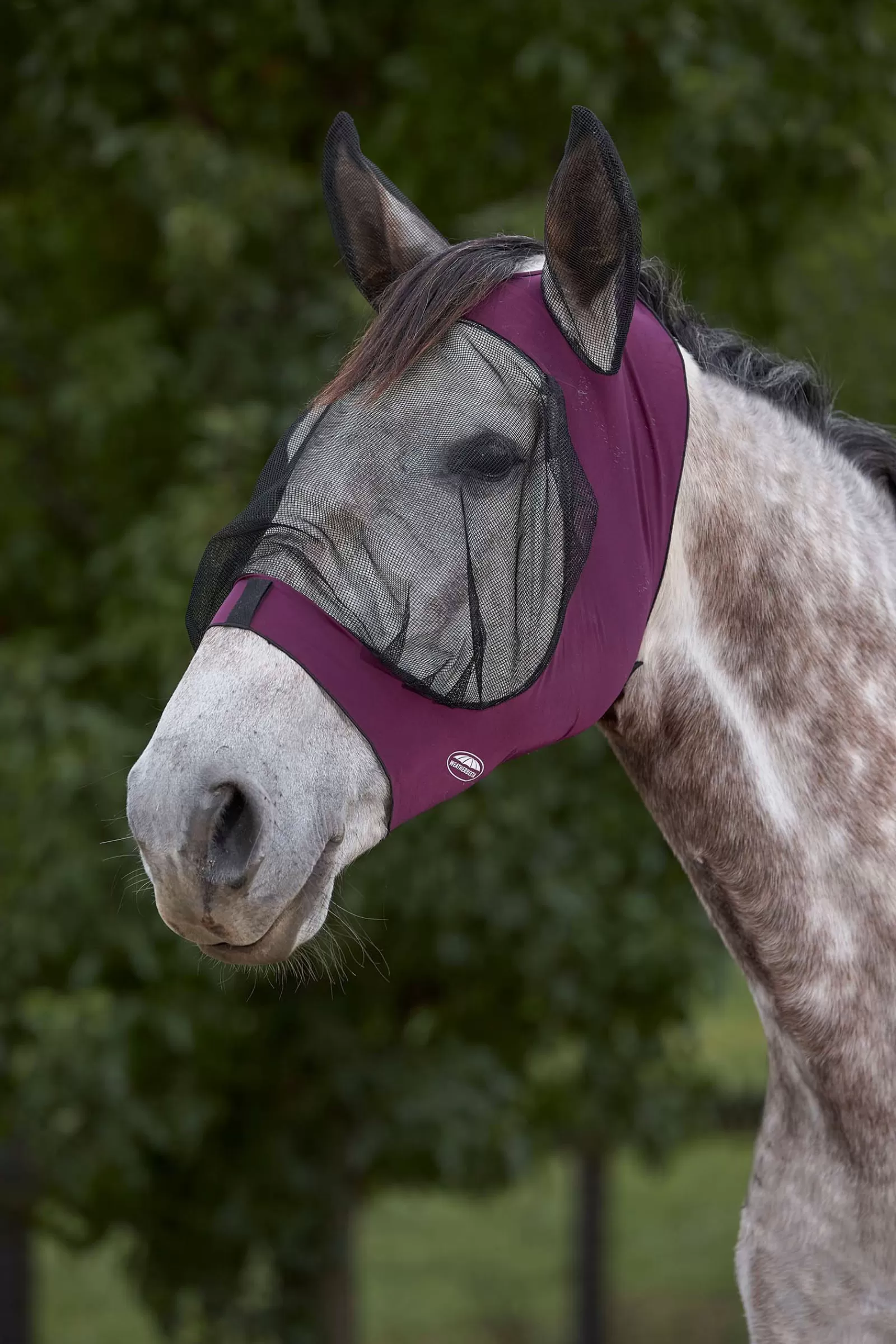 weatherbeeta Deluxe Stretch Eye Saver Elastyczna Maska Z Oslona Uszu Purple/Black Best