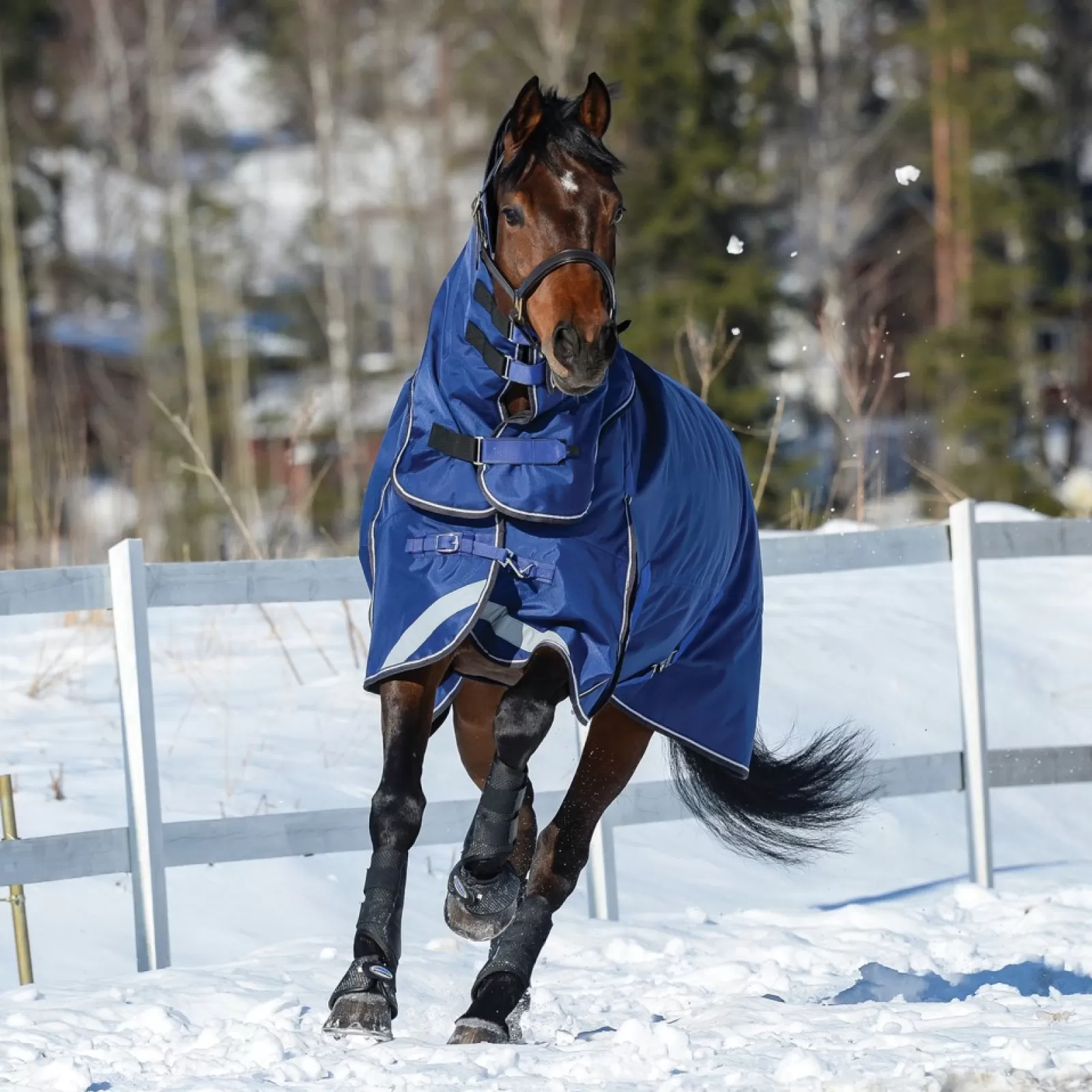 weatherbeeta Derka Padokowa Comfitec Ultra Tough Ii Z Odpinanym Kapturem, 100G
