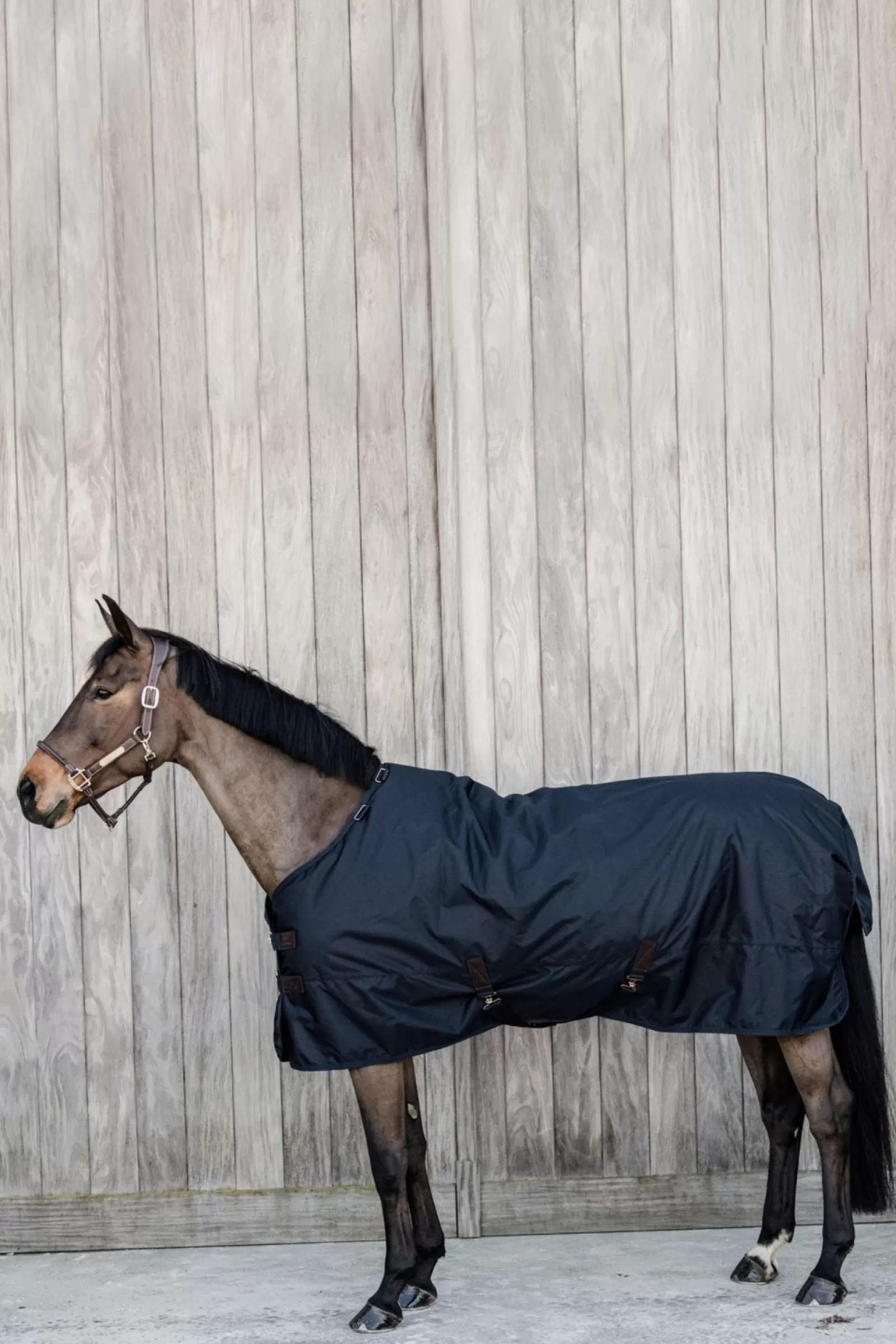 kentucky Wodoodporna Derka Padokowa Horsewear All Weather Waterproof Classic, 50G