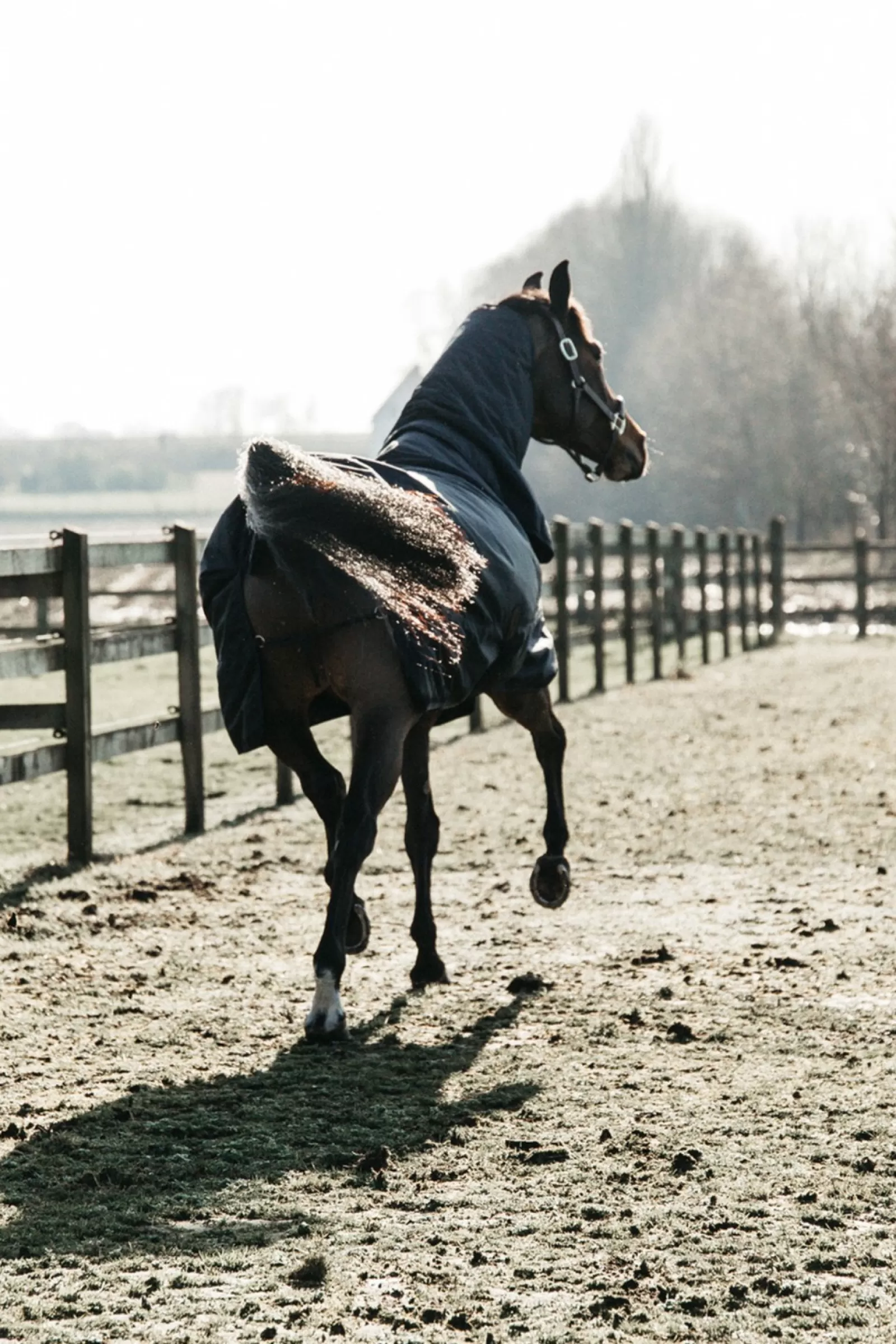 kentucky Wodoodporna Derka Padokowa Horsewear All Weather Waterproof Classic, 50G